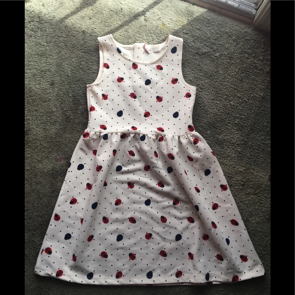 Barely used lady bug dress